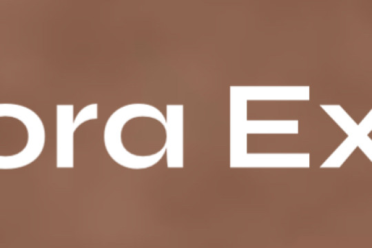 Information about Bravora Expert,