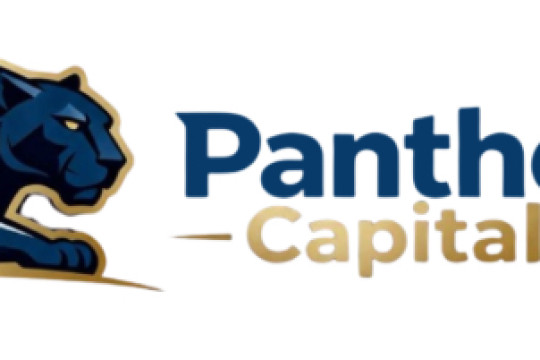 Panther Capitals scam,